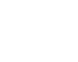 Wittur logosu