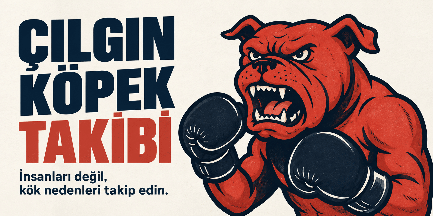 Çılgın Köpek Takibi: boks eldivenli köpek; insanları değil, kök nedenleri takip edin