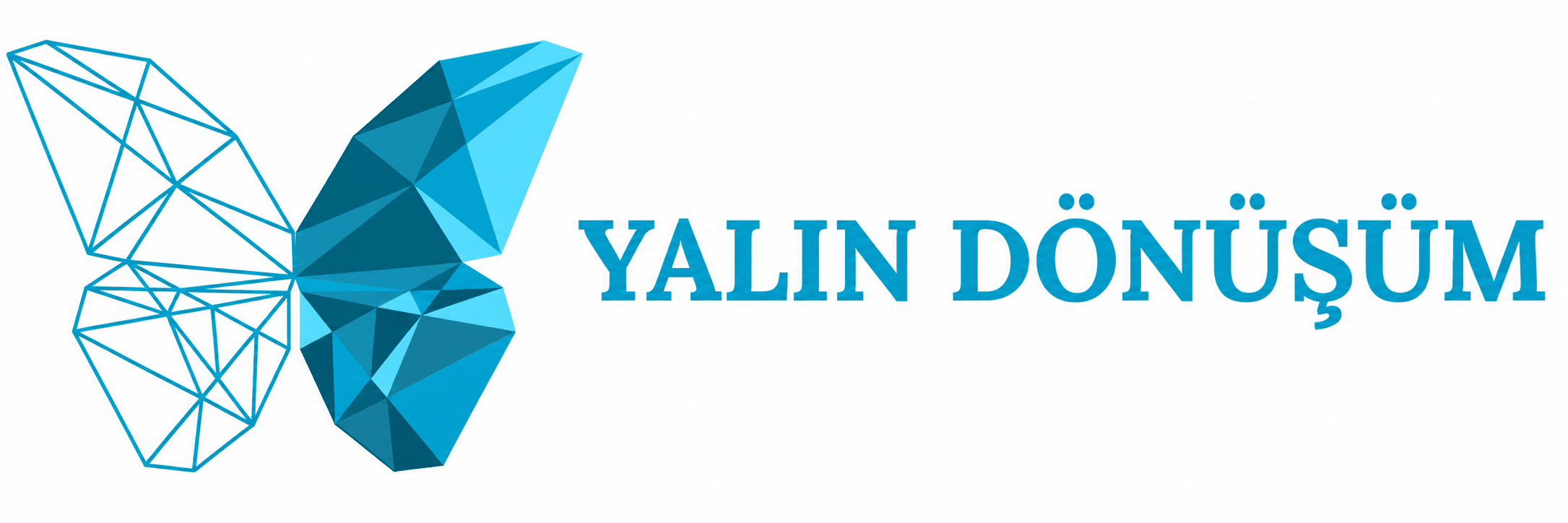 Yalın Dönüşüm